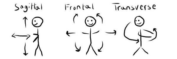 Three planes of motion: Sagittal, Frontal, and Transverse